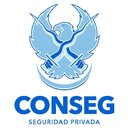 CONSEG company logo