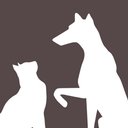 Belton Small Animal Clinic company logo