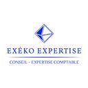 EXEKO EXPERTISE company logo