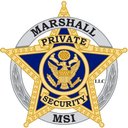 MSI Security company logo