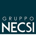 Necsi company logo