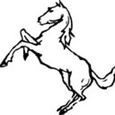 White Stallion Ranch company logo