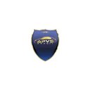 APVS Brasil company logo