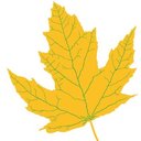 The Maplesden Noakes School company logo