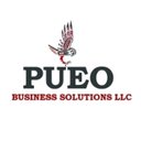Pueo Business Solutions company logo