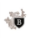 Bürgenstock Hotels AG company logo