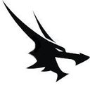 Beast Code company logo