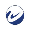 Swan Solutions &amp; Services company logo