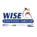 Wise Staffing Group company logo