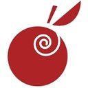 Roseville Area Schools company logo