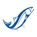 Steelhead Finance company logo