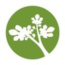 Bethanie company logo