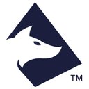 Surefox North America Inc company logo