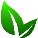Life Strategies, LLC company logo