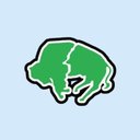 Buffalo Air Express company logo