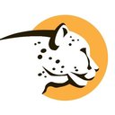 Cheetah Clean Holding Company, LLC company logo