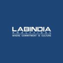 Labindia Analytical Instruments company logo