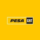 PESA CAT company logo