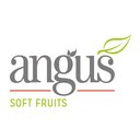 Angus Soft Fruits company logo