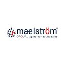 MAELSTRÖM SAS company logo