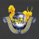 Indus Valley World School company logo
