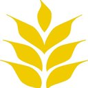 Grain Craft company logo
