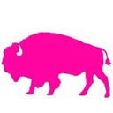 StaffBuffalo company logo