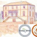 Domaine Saint Félix company logo