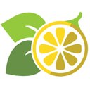 Lemon Tree Hair Salons company logo