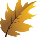 Newark Care company logo
