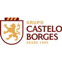 • CASTELO E BORGES. company logo