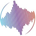 LIS Solutions company logo