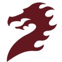 Dragon Recycling Solutions Ltd company logo