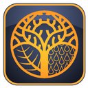 First Choice Tree Service company logo