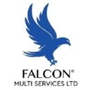 Falcon Multi Services Ltd company logo