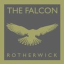The Falcon company logo