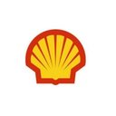 STATION SHELL TAPONAS company logo