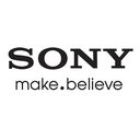 Sony Global Information System (China) Co. Ltd. company logo