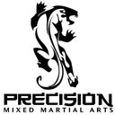 Precision Martial Arts company logo