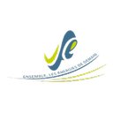 VENDEE FLUIDES ENERGIES company logo
