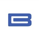 Blue Chip Services LLC company logo