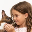 Pawsitively Pets company logo