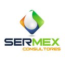 Sermex Consultores company logo