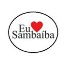 SAMBAIBA TRANSPORTES URBANOS company logo