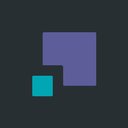 Polygon company logo