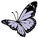 The Lindley Inn company logo