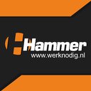 Hammer Techniek & Detachering B.V. company logo