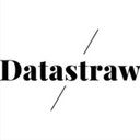 Supportstraw Technologies Private Limited company logo