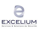 EXCELIUM company logo