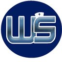 Well Staffed LLC company logo